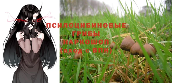 spice Россошь
