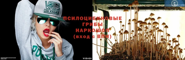 spice Россошь