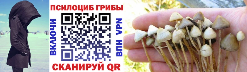 Псилоцибиновые грибы GOLDEN TEACHER  Райчихинск 